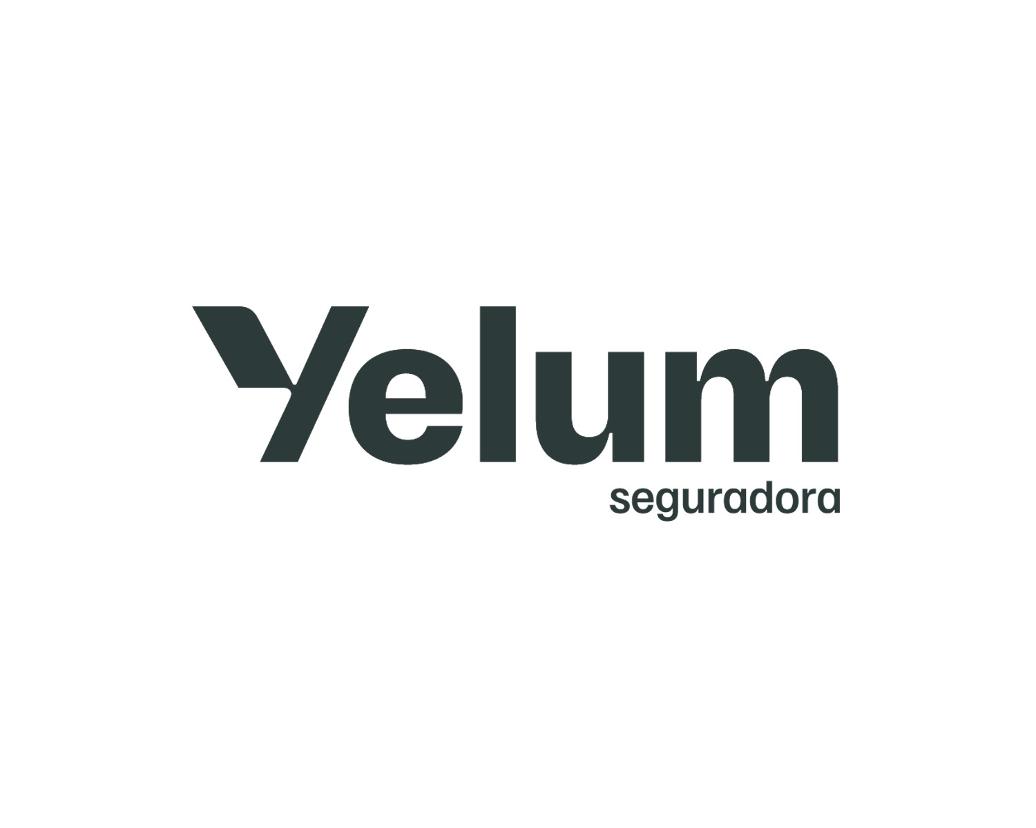 Yelum Seguros.jpg